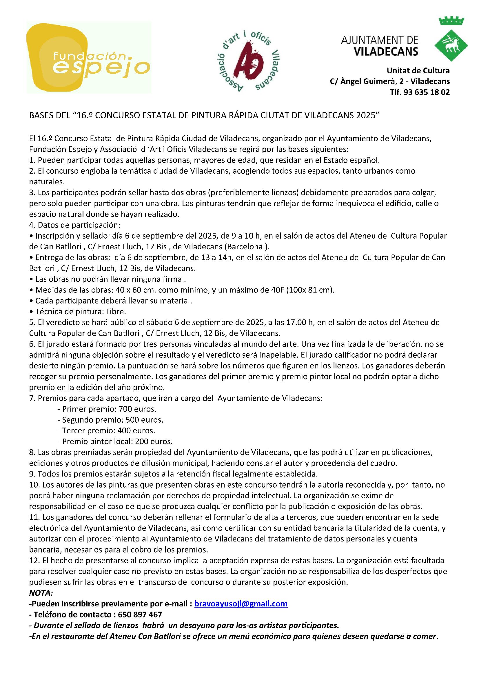 PINTURA RAPIDA 2025